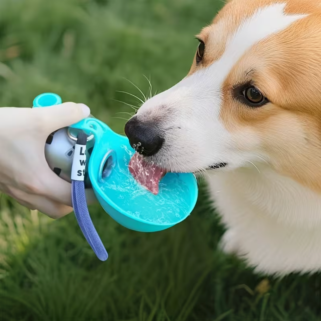 Borraccia Portatile per Cani con Ciotola Integrata 2 in 1