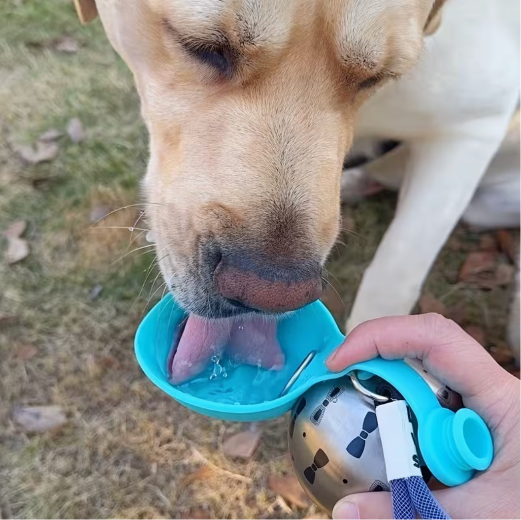Borraccia Portatile per Cani con Ciotola Integrata 2 in 1