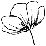 IVORY PULSE logo